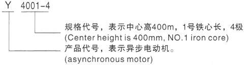 西安泰富西玛Y系列(H355-1000)高压YKK4503-2/630KW三相异步电机型号说明