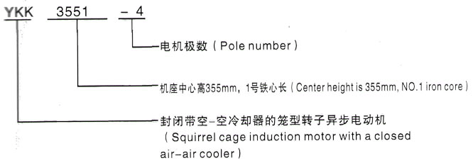 YKK系列(H355-1000)高压YKK4503-2/630KW三相异步电机西安泰富西玛电机型号说明