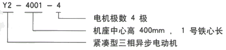 YR系列(H355-1000)高压YKK4503-2/630KW三相异步电机西安西玛电机型号说明